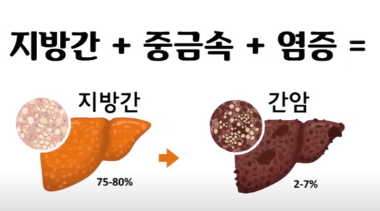 [유튜브 영상] 간경화 / 간 건강