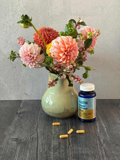 Selino 셀리노(60): 천연 여성 생리불순 생리통 갱년기 건강 엘레오틴